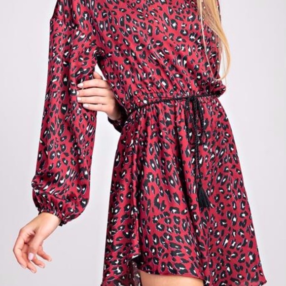 *NEW* LEOPARD PRINT LONG SLEEVE DRESS - Picture 2 of 3